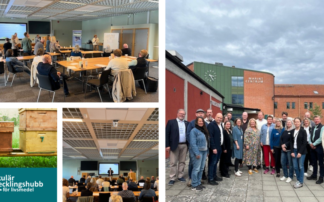 Workshop om cirkularitet i Simrishamn